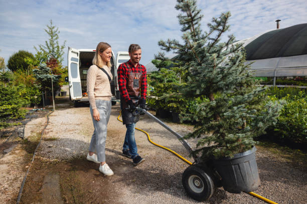 Best Stump Grinding Near Me  in Laton, CA